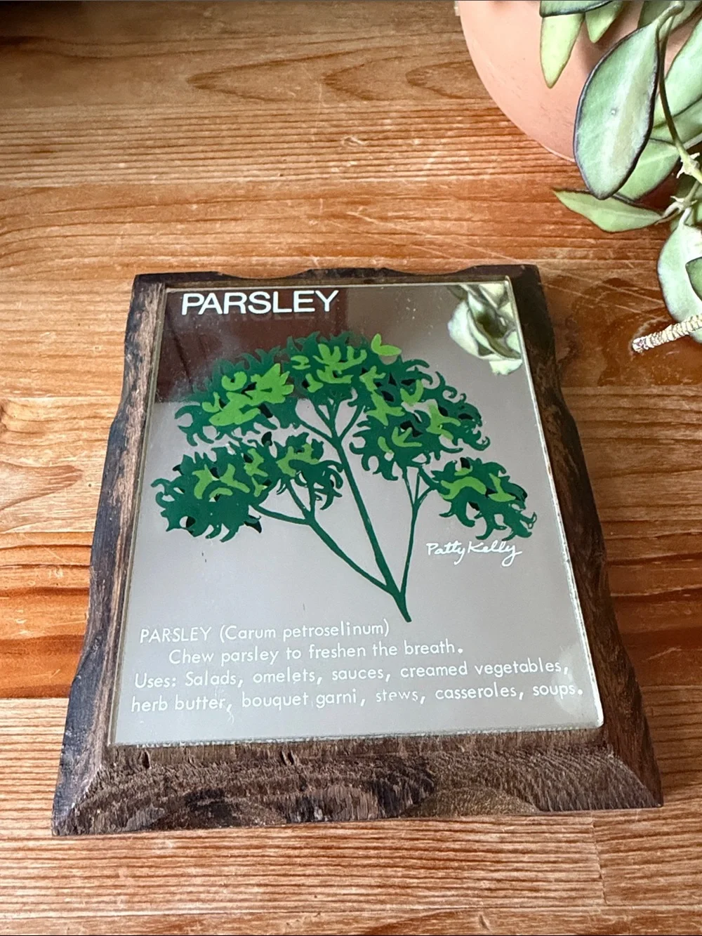 Vintage Parsley Herb Art Mirror Art